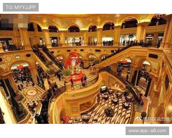 大众娱乐城赌场实地考察报告，揭秘背后的运营秘密