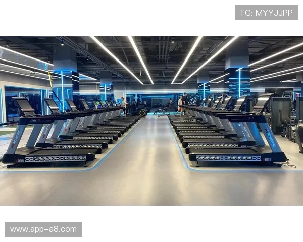 xk星空体育：打造多元化体育内容生态系统满足不同年龄层用户多样化需求的策略