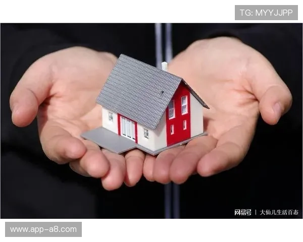 新英体育在国内体育行业中的发展现状与未来发展趋势深度分析 新英体育在国内体育行业中的发展现状与未来发展趋势深度分析