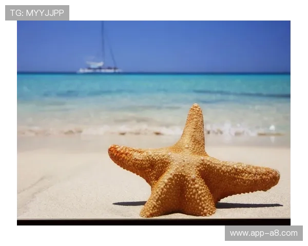 海星tv高清直播平台最新功能介绍与使用指南帮助用户轻松畅享海星tv丰富内容资源